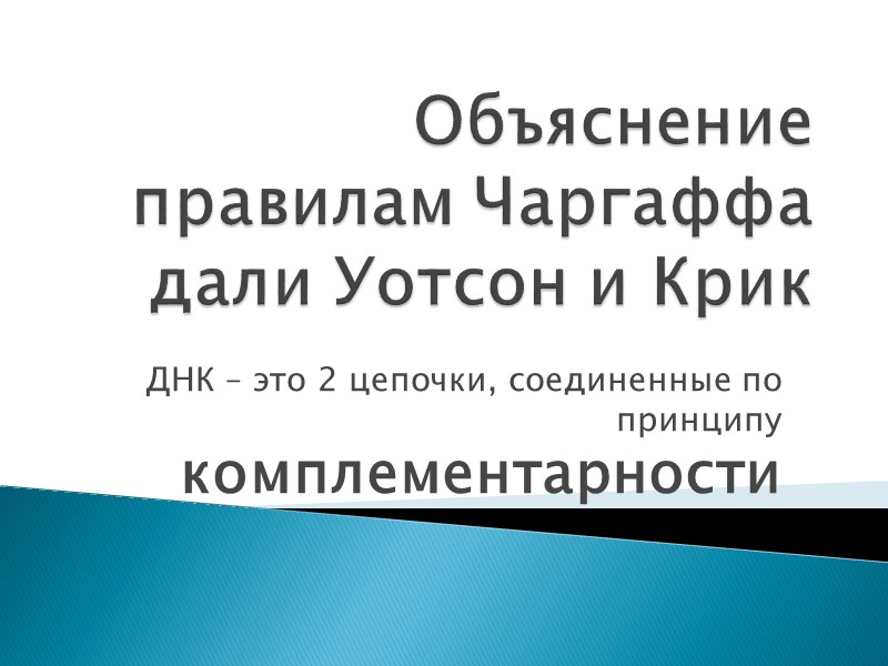 Объяснение правилам Чаргаффа дали Уотсон и Крик ДНК – это 2 цепочки, соединенные по